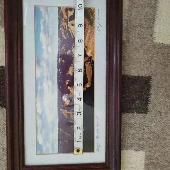Photo signed matted framed J Johnson Grand Canyon Bright Angel Fault - Picture 7 of 10
